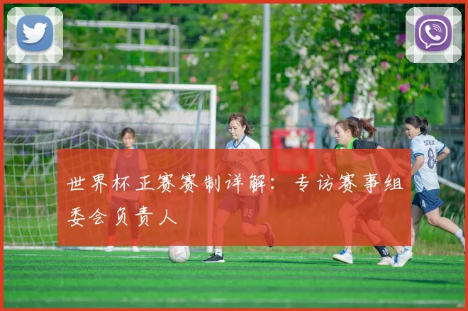 世界杯正赛赛制详解：专访赛事组委会负责人