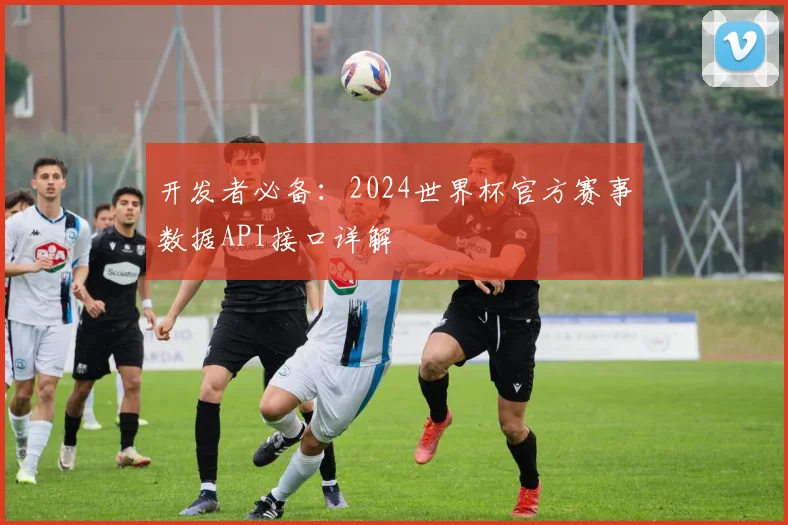 开发者必备：2024世界杯官方赛事数据API接口详解