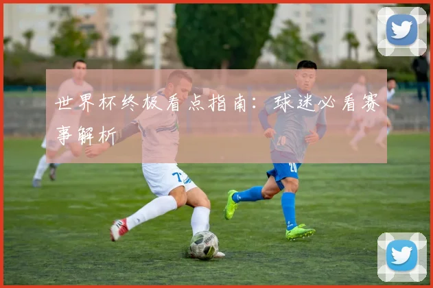 世界杯终极看点指南：球迷必看赛事解析