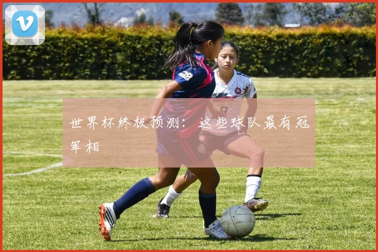 世界杯终极预测：这些球队最有冠军相
