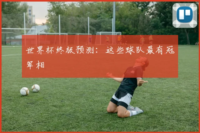 世界杯终极预测：这些球队最有冠军相