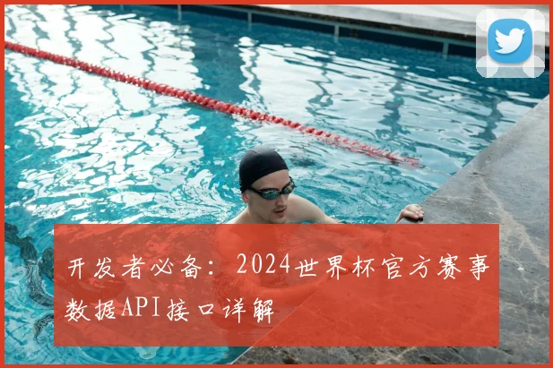 开发者必备：2024世界杯官方赛事数据API接口详解